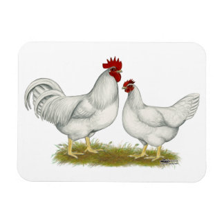 Lamona Chickens Magnet