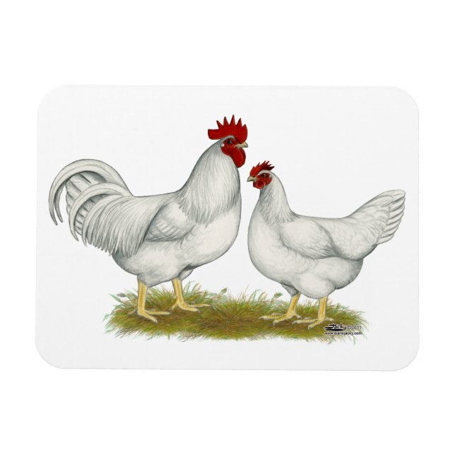 Lamona Chickens Magnet (Horizontal)