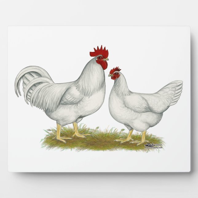 Lamona Chickens Plaque (Front)