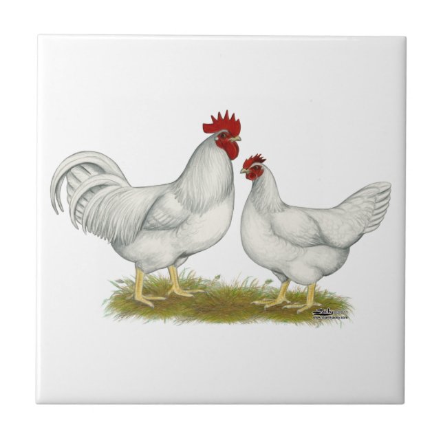 Lamona Chickens Tile (Front)