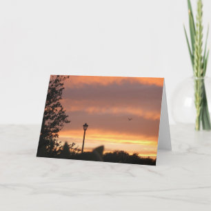 Lamp Post and Bird Card
