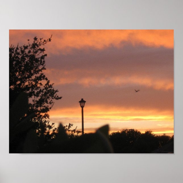 Lamp Post and Bird Poster (Front)