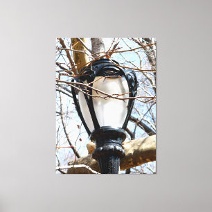 Lamp Post New York Central Park Canvas Print