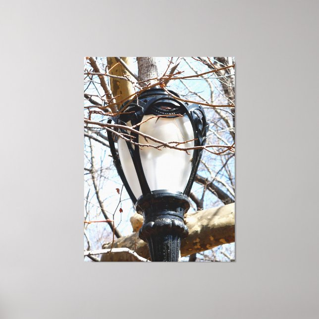 Lamp Post New York Central Park Canvas Print (Front)
