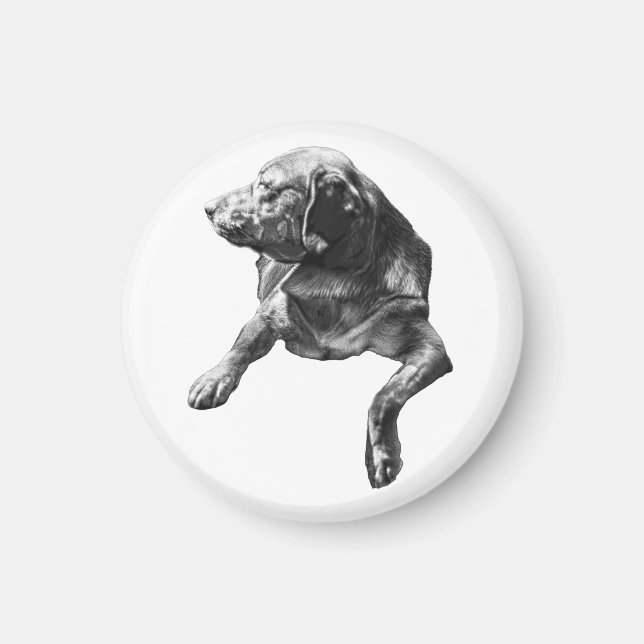 Lamplight Hush: Labrador Outline Magnet (Front)