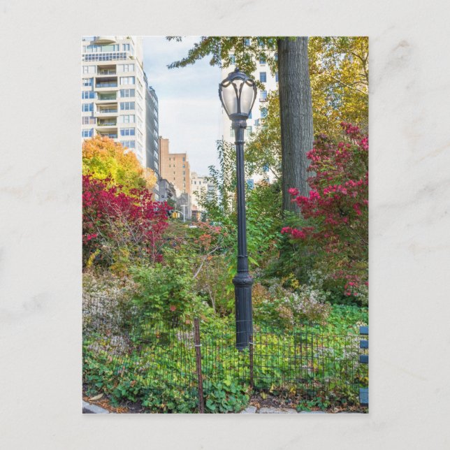Lamppost and Bench Postcard (Front)