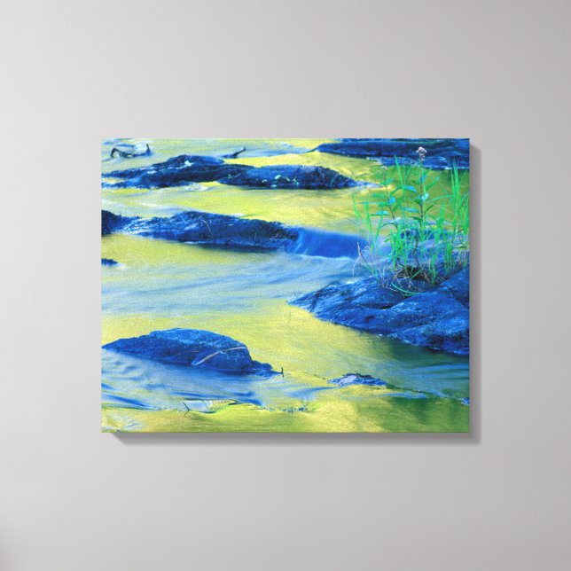 Lamprey River | New Hampshire Canvas Print (Front)