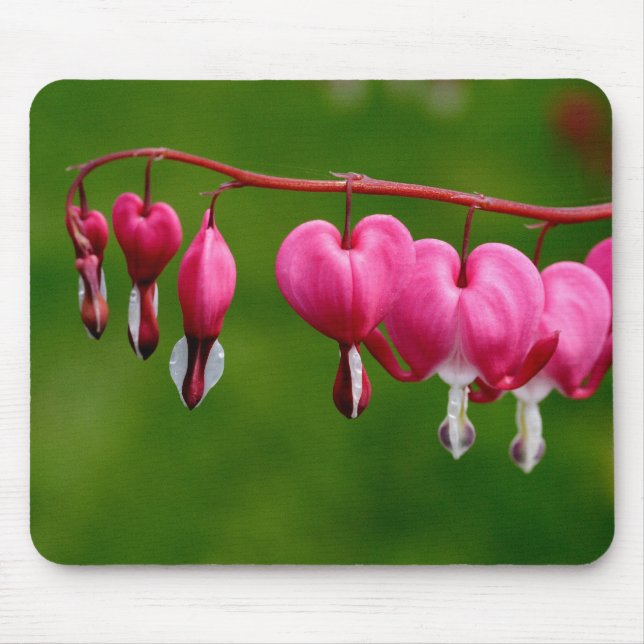 Lamprocapnos spectabilis mouse pad (Front)
