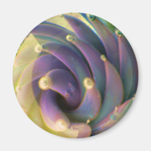 Lampwork Boro Glass Sea Pastel Lotus Bubble Magnet