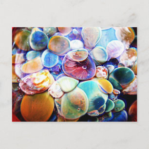 Lampwork Boro Glass Underwater Aquatic Postcard