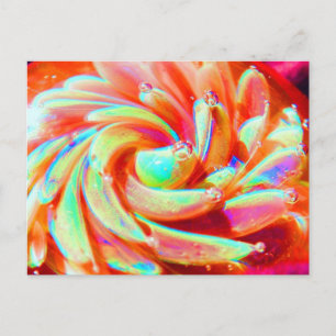 Lampwork Boro Rainbow Glass Pastel Art Postcard
