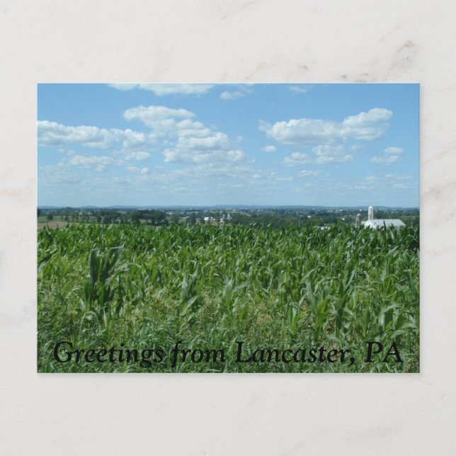 Lancaster field, Greetings from Lancaster, PA Postcard (Front)