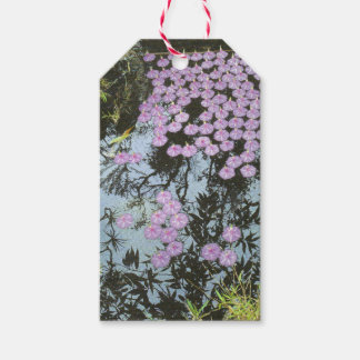 "Land Art" Gift Tags