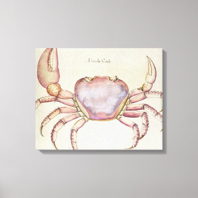 Land Crab Canvas Print (Front)