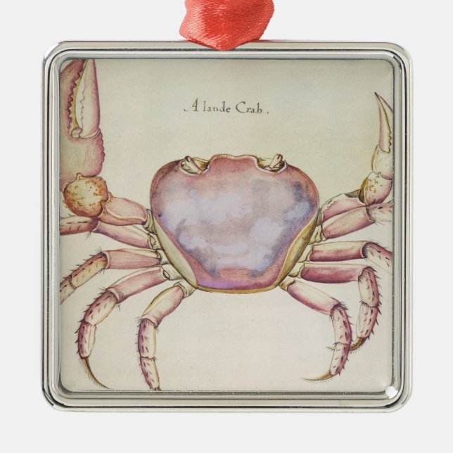 Land Crab Metal Tree Decoration (Front)