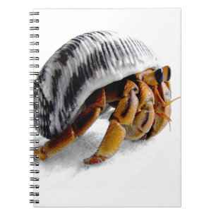 land hermit crab spiral notebook
