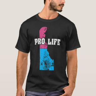 Land Map Us State Delaware Abortion Flag Choose Pr T-Shirt