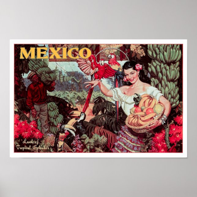 LAND of TROPICAL SPLENDOR MEXICO c. 1950 Poster (Front)