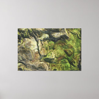 Landform 1 canvas print