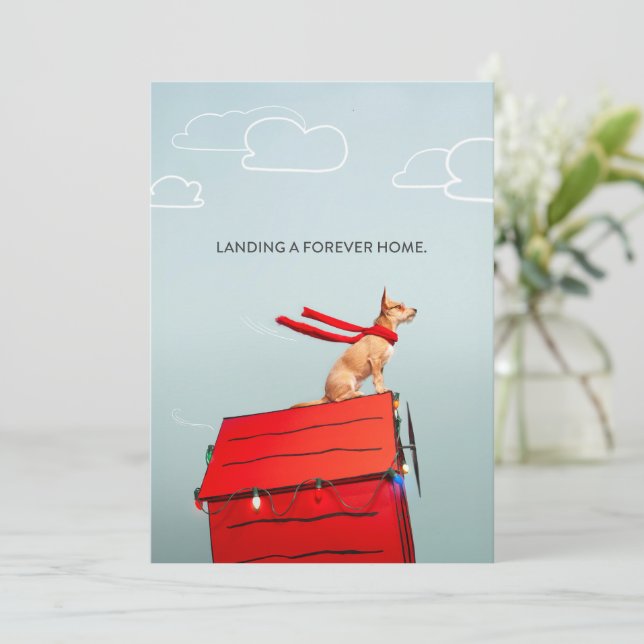 Landing a Forever Home Invitation (Standing Front)