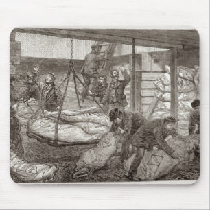 Landing Australian Frozen Meat Mouse Pad