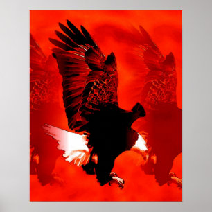 Landing Eagle Poster Print - Red Eagle Posters