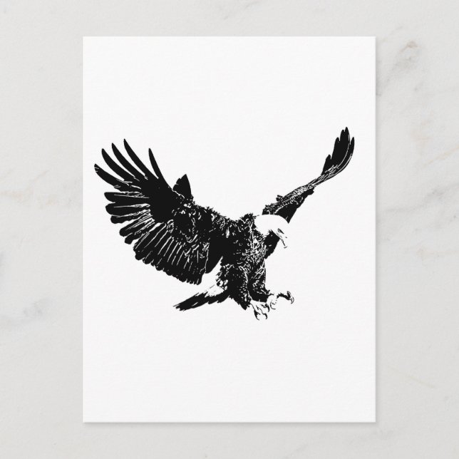Landing Eagle Silhouette Postcard (Front)