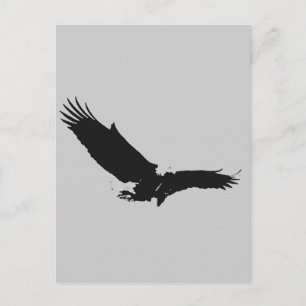 Landing Eagle Silhouette Postcard