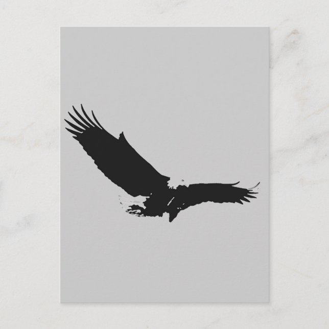Landing Eagle Silhouette Postcard (Front)
