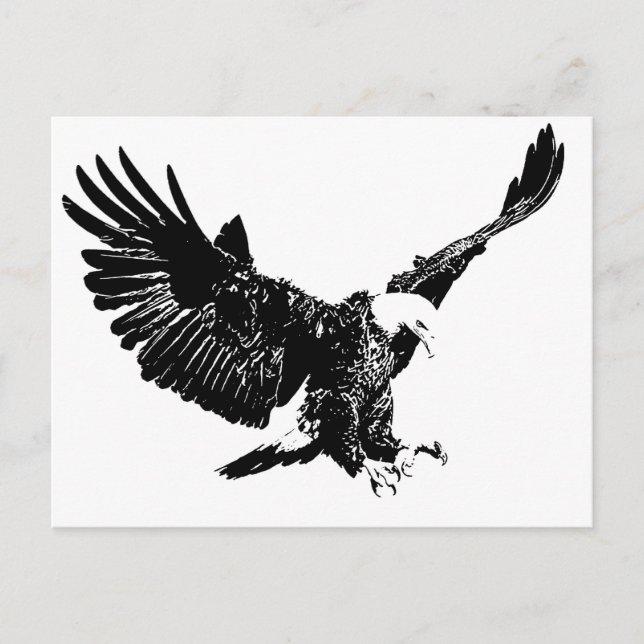 Landing Eagle Silhouette Postcard (Front)