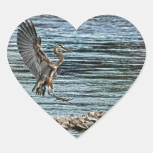 Landing Great Blue Heron Wildlife Birdlover Design Heart Sticker