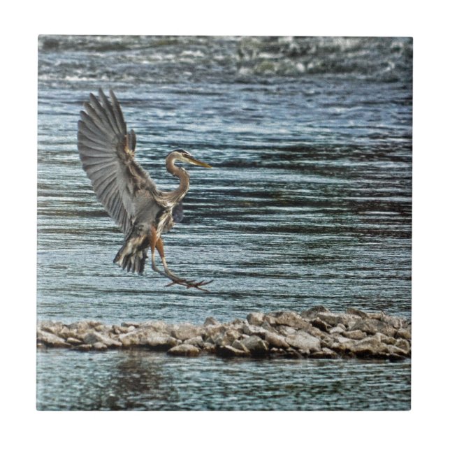 Landing Great Blue Heron Wildlife Birdlover Design Tile (Front)