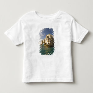 Land's End, The Arch near Cabo San Lucas, Baja Toddler T-Shirt