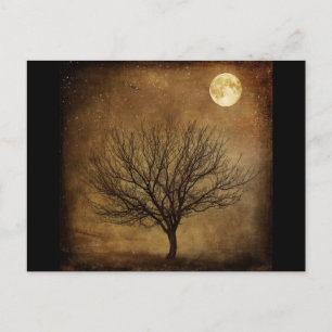 landscape-680226 DARK BROWN BACKGROUND BLACK TREE Postcard