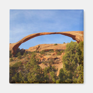 Landscape Arch at Arches National Park Magnet