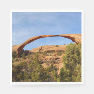 Landscape Arch at Arches National Park Napkin