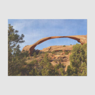 Landscape Arch at Arches National Park Tissue Paper