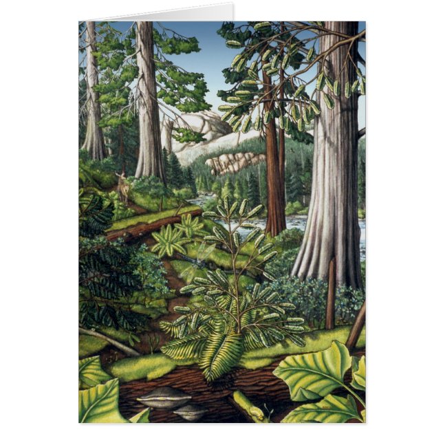 Landscape Art Print Blank Card Personalised Cards (Front)