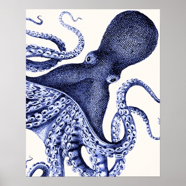 Landscape Blue Octopus Poster (Front)