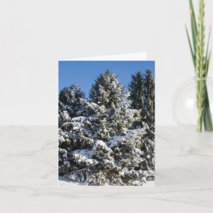 Landscape Christmas Cards