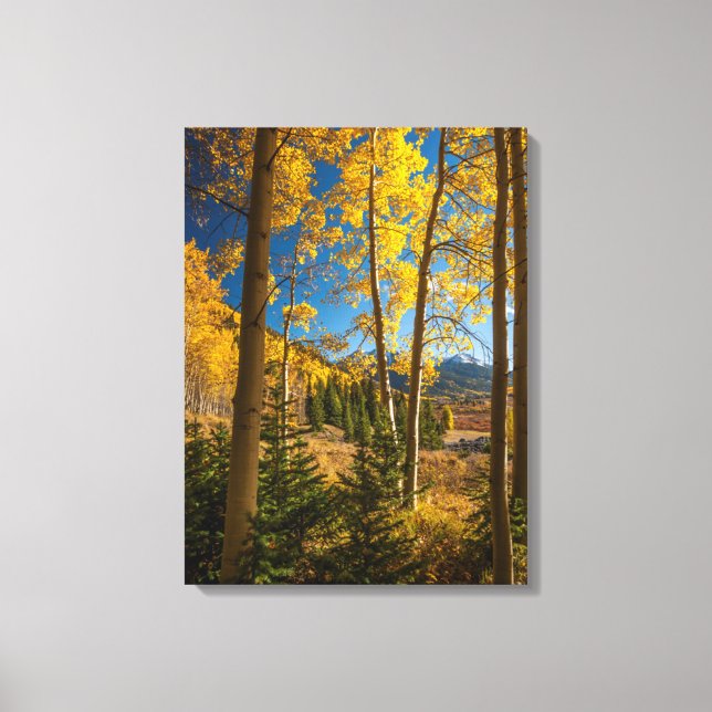 Landscape in San Juan Mountains Canvas Print (Front)