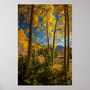 Landscape in San Juan Mountains Poster