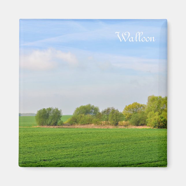 landscape in Walloon, province Liege Magnet (Front)