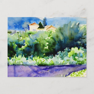 Landscape Lavender fields Postcard