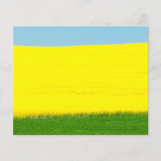 Landscape Meadow Flyer (Front)