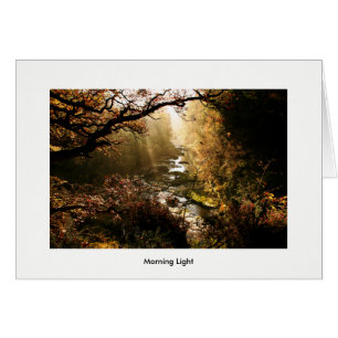 Landscape Morning Light New Lanark Scotland