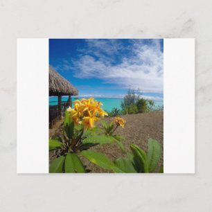Landscape of bora bora postcard