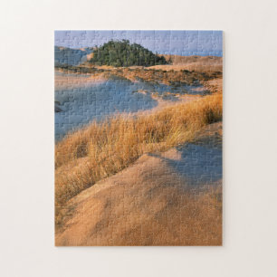 Landscape Of Oregon Sand Dunes Jigsaw Puzzle