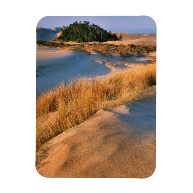 Landscape Of Oregon Sand Dunes Magnet (Vertical)