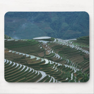 Landscape of rice terraces in the mountain, 2 mouse pad